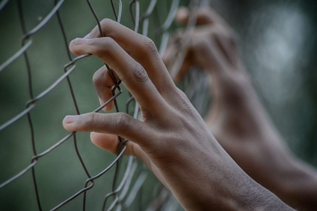 child's hands on a chain link fence